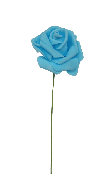 Rosa de Eva Azul