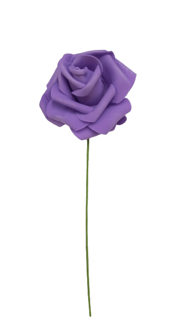 Rosa de Eva Lilás