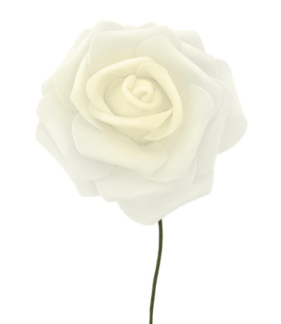 Rosa de Eva Marfim