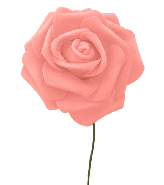 Rosa de Eva Salmão