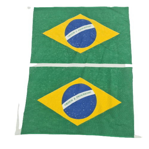 Bandeira Do Brasil Fração 02