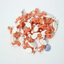 Botão Plástico Flamingo Branco com Salmão 25 Unidades