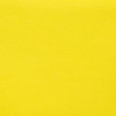 Feltro Amarelo Cítrico 081